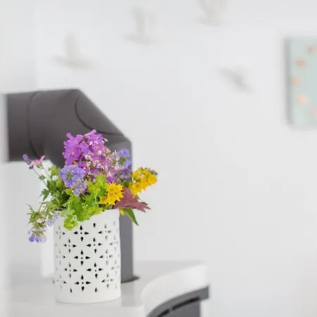 Haus Bugspriet Haegerende ツィングシュト